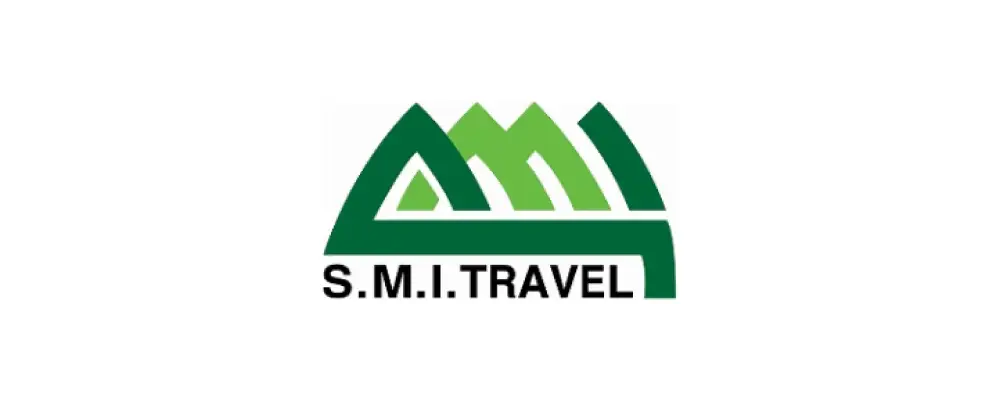 s.m.i holdings