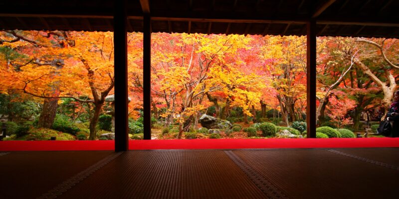 (WKY-004) A relaxing one-day tour of Another Kyoto“Higashiyama, Iwakura & Takagamine course”