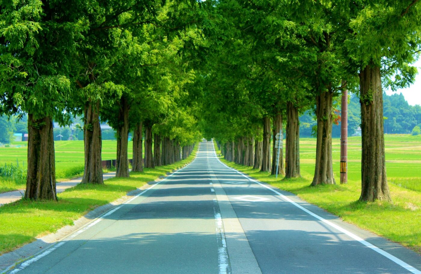 (WKY-007) A relaxing one-day countryside tour from Kyoto “West shore of Lake Biwa course”